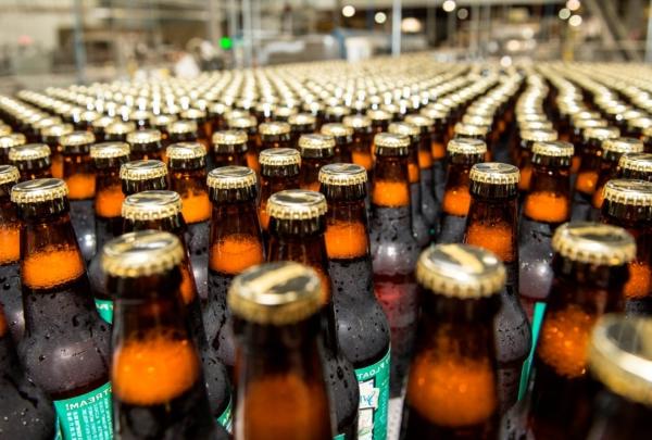 Filled beer bottles on packaging line